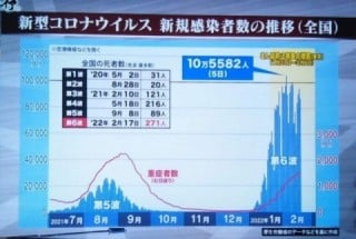 新規患者数