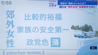 郊外に住む比較的裕福な女性（母）